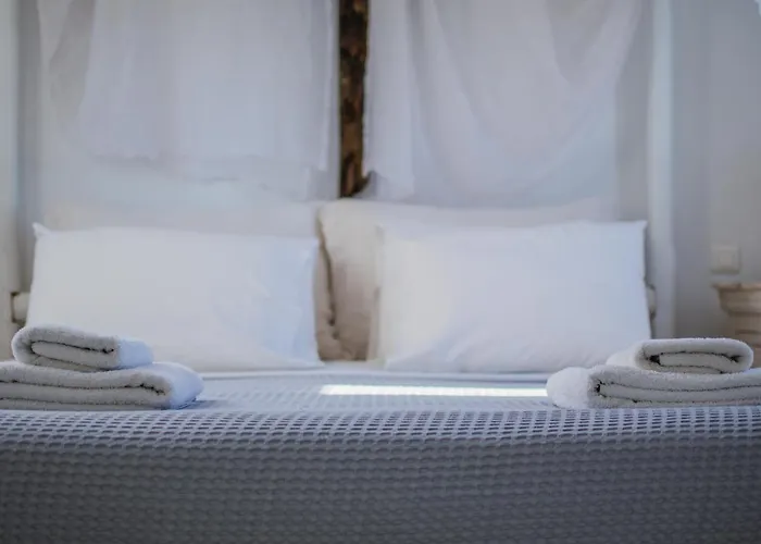 Mv Serenity * 阿诺梅拉